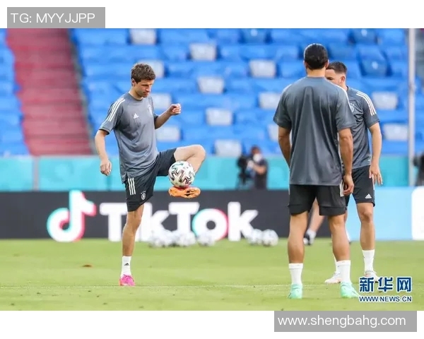 2020年法国队足球明星盘点与表现分析